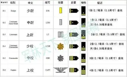 美海军军衔眼花缭乱至少5种佩戴位置袖标最难门诊需专门解析