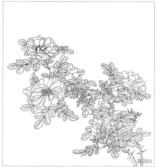 马远 白蔷薇图 纵26厘米 横25.2厘米佚名 荷塘鹡鸰图 纵22.