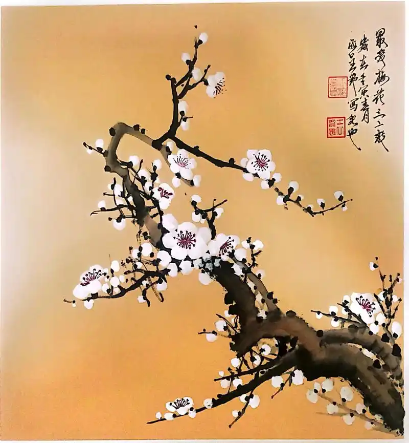 国画花鸟 小写意梅花白梅作品 - 抖音