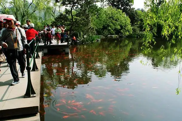 西湖十景之花港观鱼