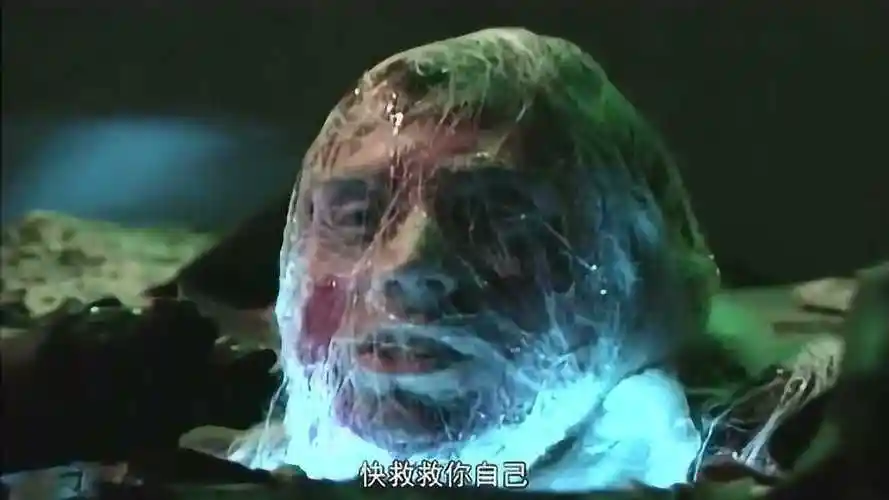 大蜘蛛蜘蛛精当年有你们这吐丝速度唐僧早就被吃了