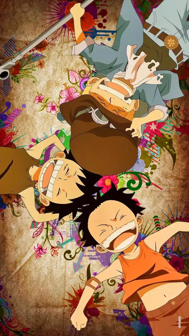 命运的羁绊#海贼王 #手机壁纸 - 抖音