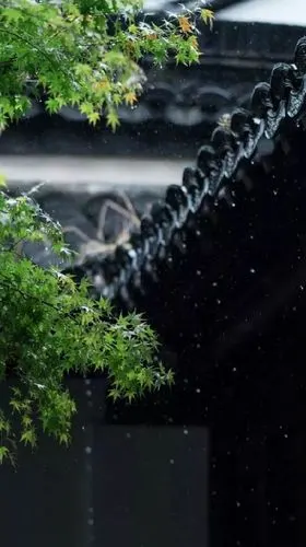 预报说今天有大雨但现在是小雨,窗外不时传来雨打屋檐的"嘀嗒"声,在家