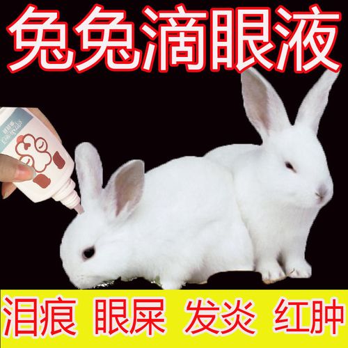 兔子滴眼液眼睛发炎红肿眼周皮炎角膜炎结膜炎专用眼药水护理用品