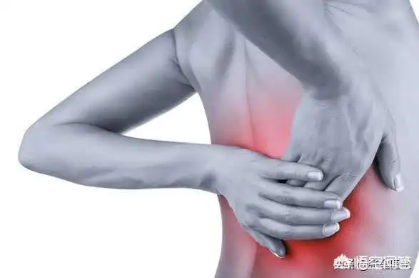 肩周炎,强制性脊柱炎,脊柱的骨折,结核,胆囊炎,肾盂肾炎,结石,消化性