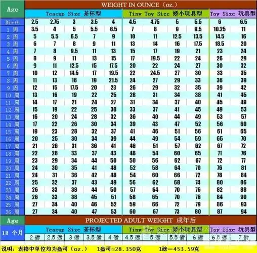 茶杯型,微小玩具型,玩具型贵宾犬肩高,体重一览表 - 紫竹 - 紫竹犬舍