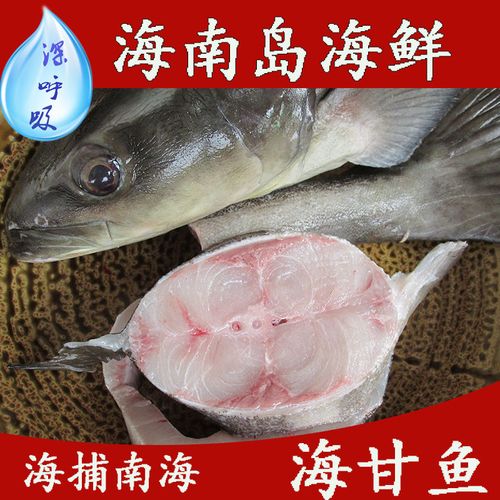 海南岛海鲜新鲜海捕海鲜海甘鱼 海甘梭 海鱼海鲜水产分段销售包邮
