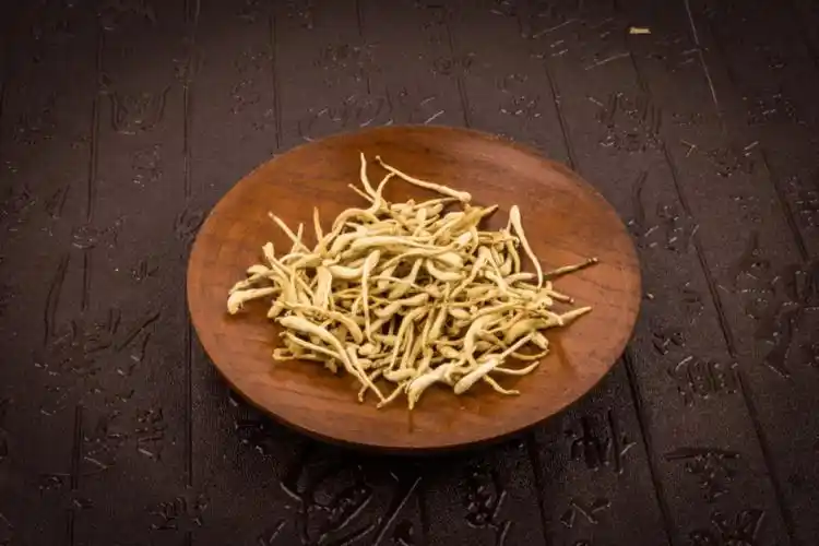 金银花药材图注意事项① 金银花偏凉性,脾虚的患者不适合金银花水.