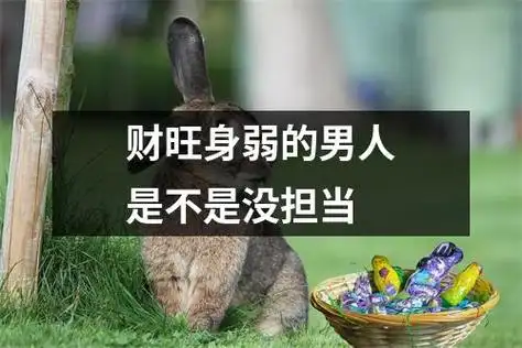 财旺身弱的男人是不是没担当