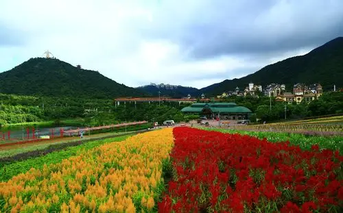 东部华侨城茶溪谷