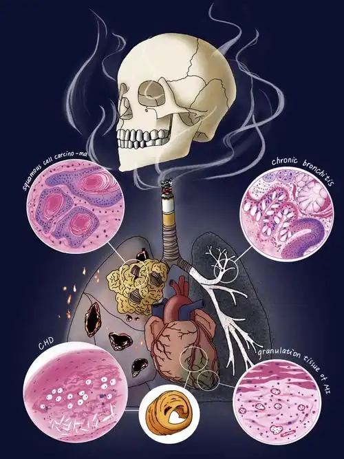 基础医学院承办青岛大学第二届形态学绘图大赛暨全国高等医学院校第二
