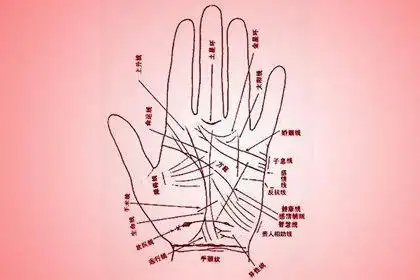 关于我们手掌纹路智慧线的解释