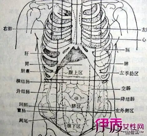 【图】左下腹部隐痛有硬块是怎么回事 几大原因告诉你需注意了