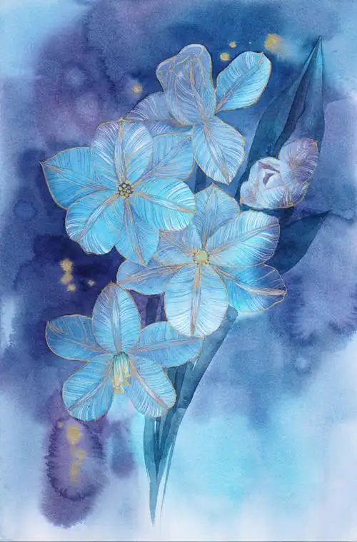 手绘 ▏水彩花卉