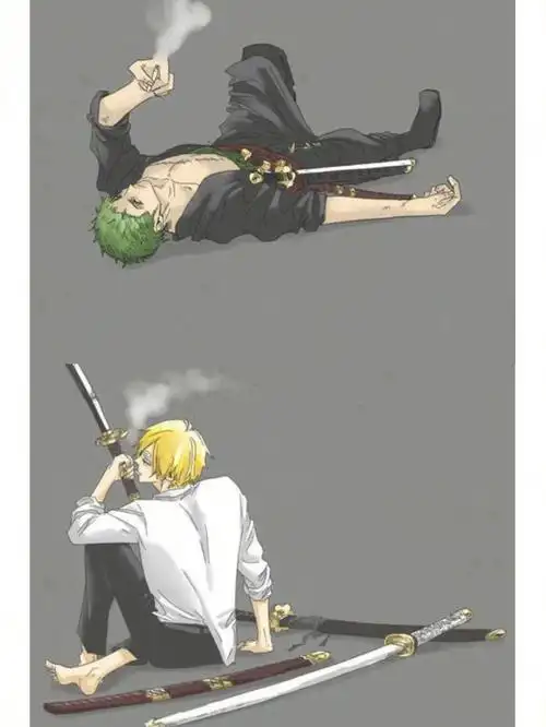 图集索隆与山治配一脸