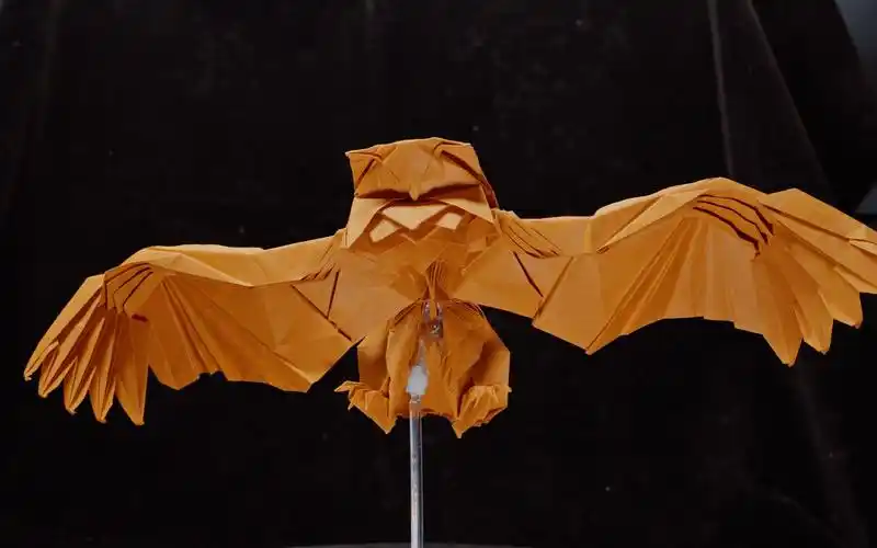 【折纸】猫头鹰