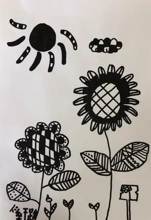 线描画——写生向日葵-锦绣幼儿园