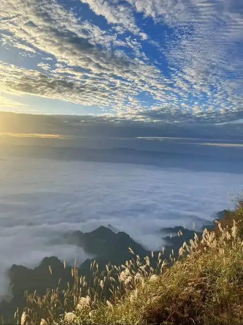总有日出和云海值得奔赴 #云雾缭绕人间仙境 ,初冬的八面山 - 抖音