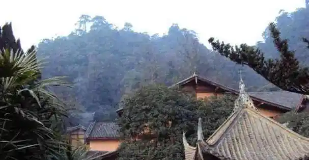 全国唯一不供佛祖的佛寺,被帝王尊崇上千年,门票0元少有人知_缙云