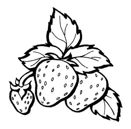 简笔画草莓简笔画草莓的画法