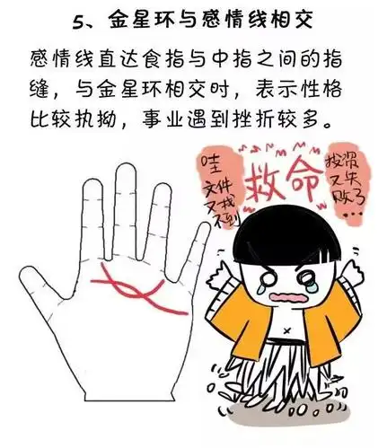 掌纹图解金星环