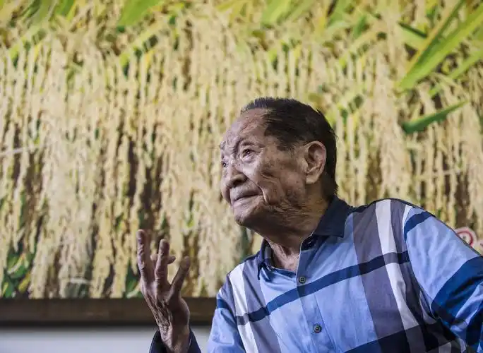 杂交水稻之父走了留给我们无尽的思念