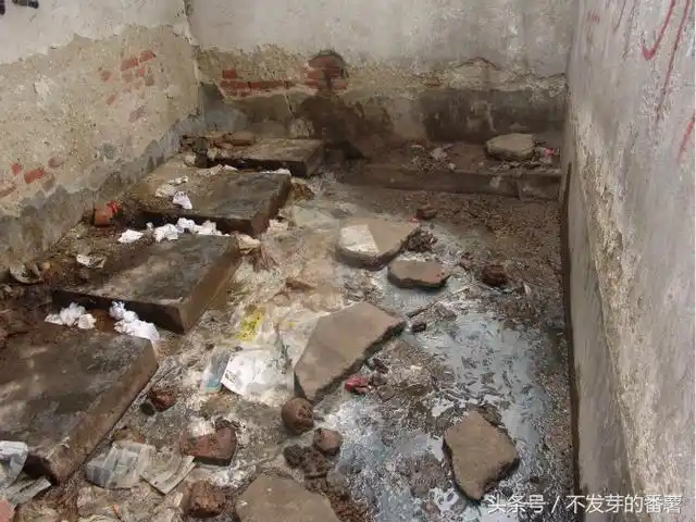 一组农村旱厕的照片比印度还脏还臭