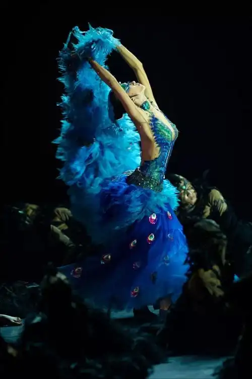 【美图欣赏】杨丽萍舞剧《孔雀》丨高清大图来袭,珍藏!_有关