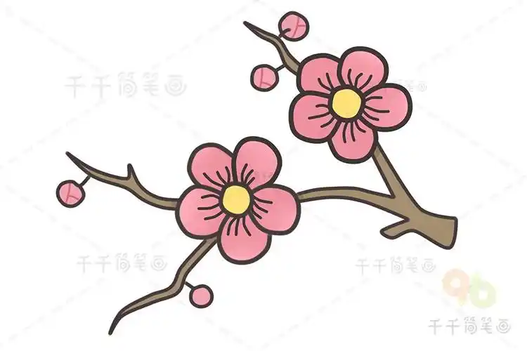梅花花开顺序简笔画