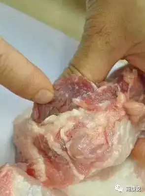 而出现充血,出血,水肿,化脓,坏死等病变的淋巴结中则含有有大量的细菌