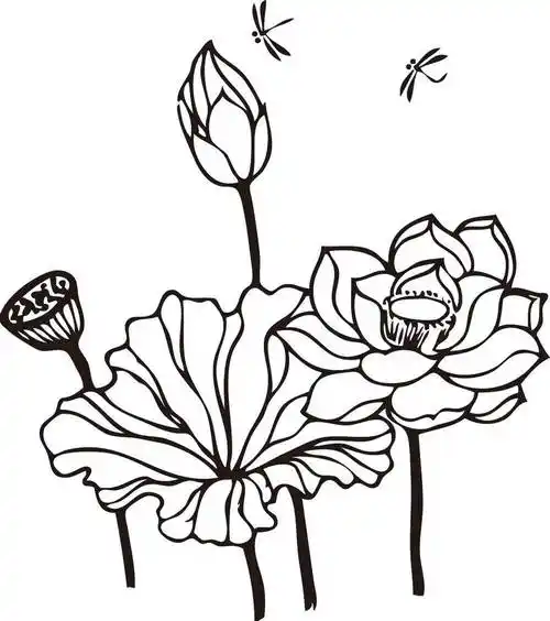 荷叶荷花简笔画2022最新简笔画荷花的画法