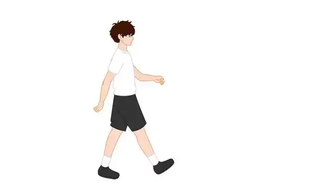 按通常的姿势走路,臀部肌肉,大腿腘绳肌,股四头肌,小腿三头肌以及腰