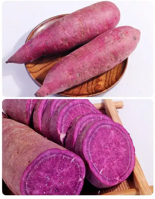 香甜软糯现挖新鲜紫薯紫罗兰紫红薯沙地紫薯代餐粗粮蔬菜批发中紫薯