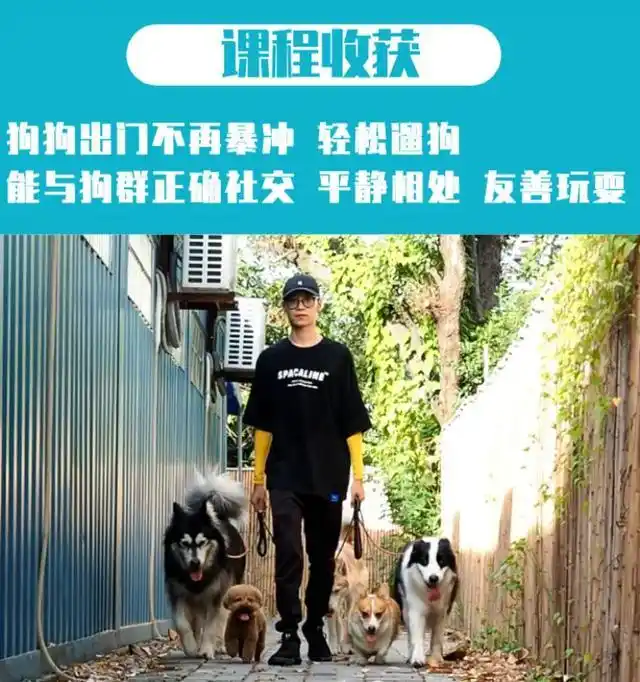 和一班志同道合的狗友交流分享,带上你的狗狗一起来个夏天