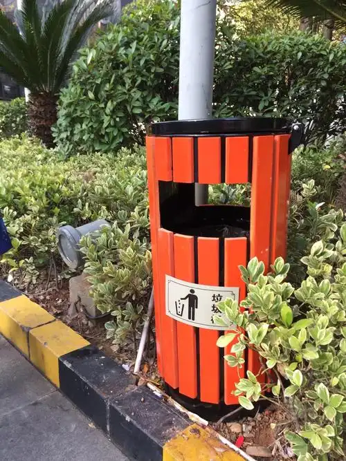 能大胆地表达自己对社区公用设施的了解和想法.