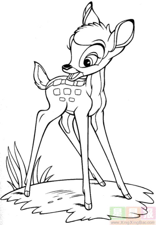 简笔画动物鹿王哈克