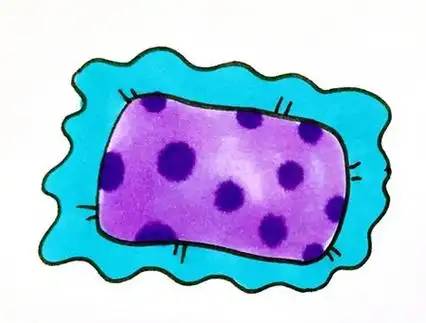 枕头的简笔画的画法