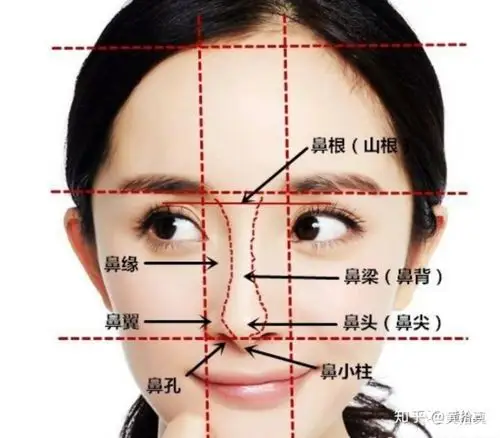 盘点山根的重要性.