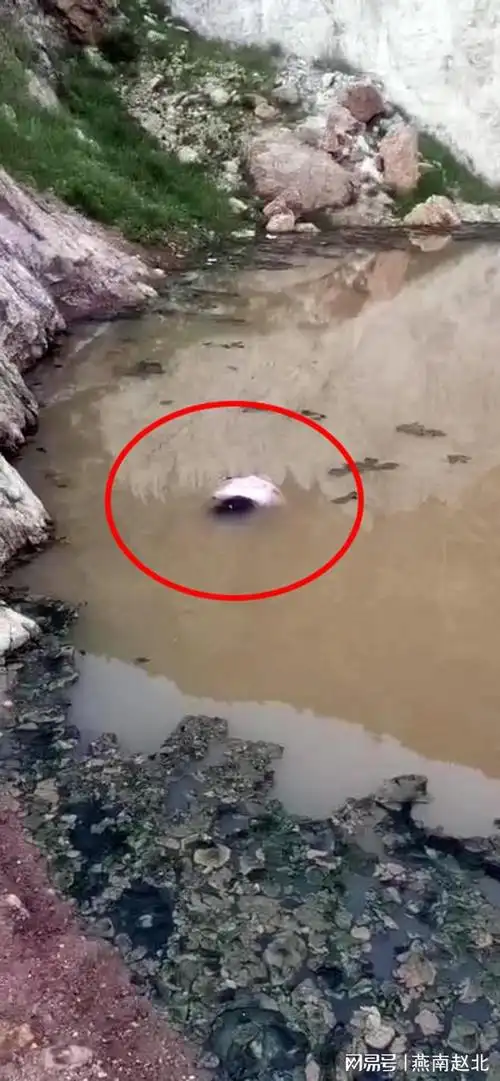 心痛保定三个花季女孩水坑内溺亡两个系亲姐妹