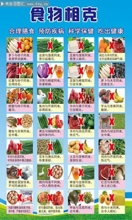 食物相克对照表图片