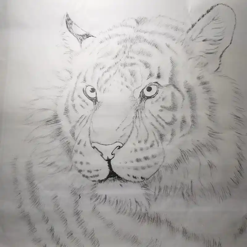 工笔虎绘画步骤图 - 抖音