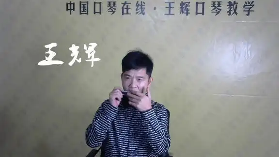 1804王辉口琴祝福你王辉老师携全体学员祝大家春节愉快