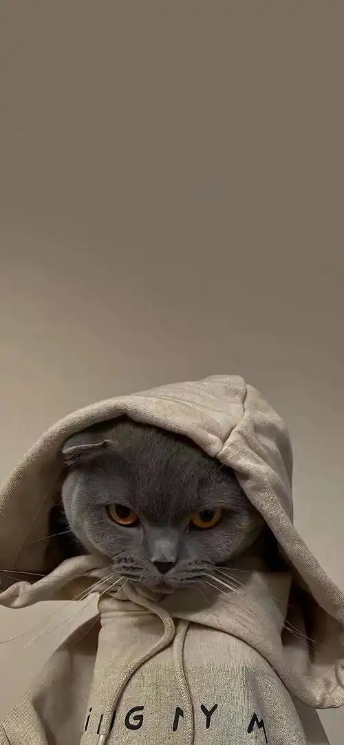 𝙬𝙖𝙡𝙡𝙥𝙖𝙥𝙚𝙧壁纸 | 个性锁屏壁纸好看到爆