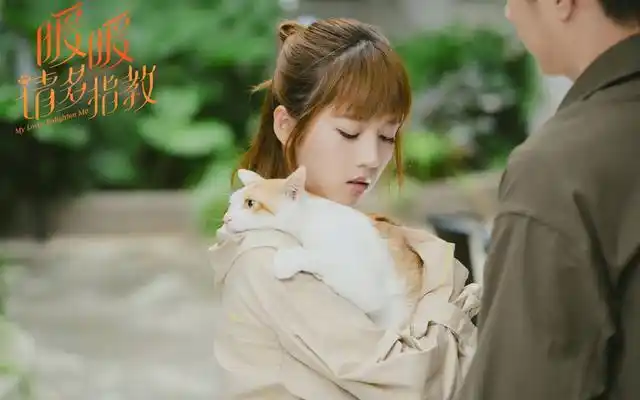 电视剧《暖暖,请多指教》用温暖和甜蜜让大家再一次承接