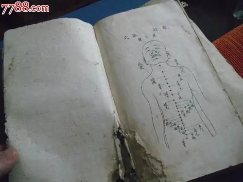 2016-2021年中国针灸材料市场深度调研及投资策略分析报告(目录)