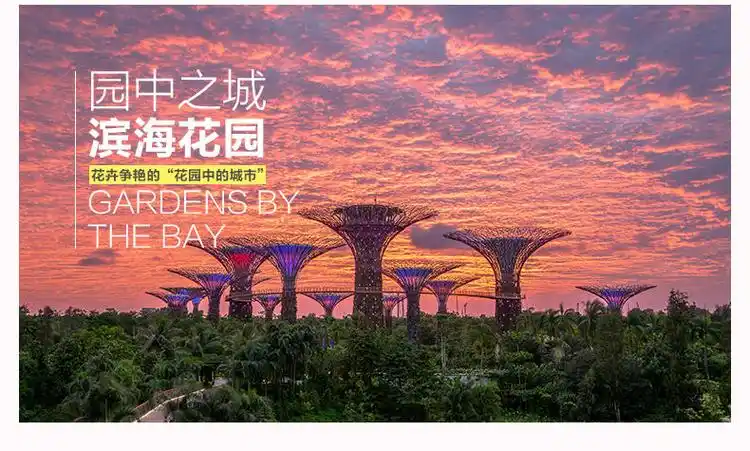 新加坡滨海湾花园 滨海湾花园双馆门票(既定即用 花穹和云雾林 滨海湾