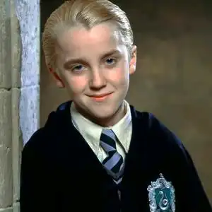 马尔福老婆头像