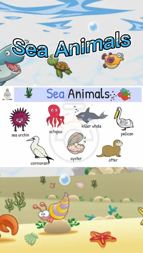 磨耳朵之seaanimals2