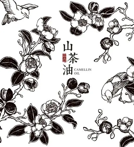 山茶油包装设计手绘图案食品包装设计