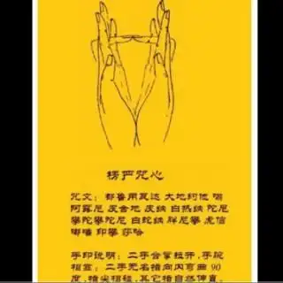 该有多好-莫言【个人伴奏-枫语人生】 - 佛雨9915阿弥陀佛 唱吧